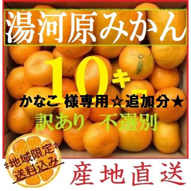 かなこ様専用☆追加分☆10㌔ みかん 🍊訳あり 湯河原みかん ご家庭用 不選別 食品/飲料/酒の食品(フルーツ)の商品写真