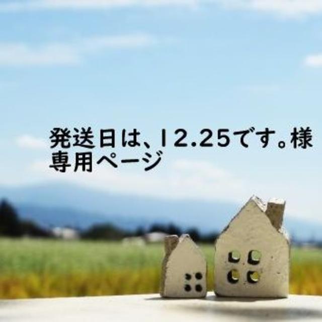 「発送日は、12.25です。様専用ページ」 コスメ/美容のダイエット(エクササイズ用品)の商品写真