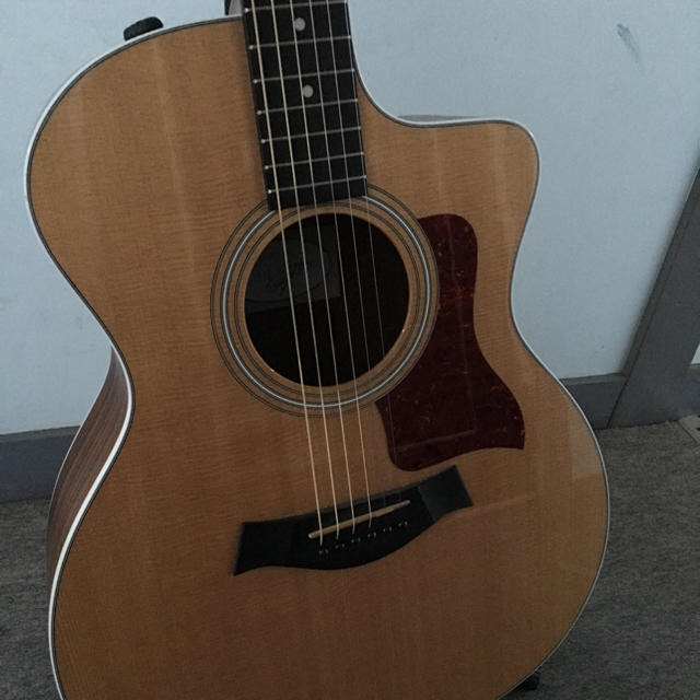 スペシャルオファ Taylor214 アコースティックギター