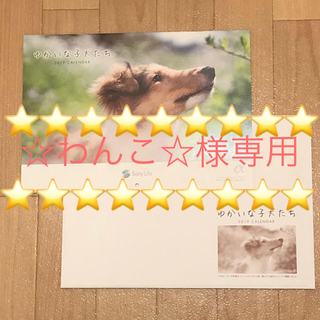 ソニー(SONY)の【☆わんこ☆様専用】カレンダー 壁掛け 2019年 犬 ソニー生命(カレンダー/スケジュール)