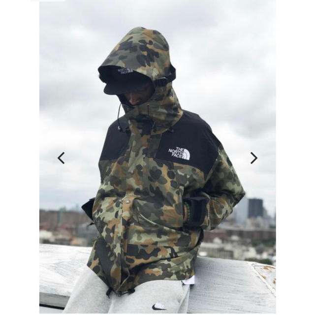 L The North Face 1990 Mountain Jacket