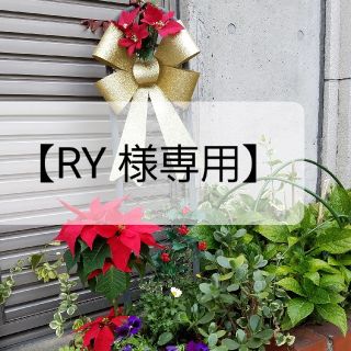 【RY様 専用ページ】(その他)