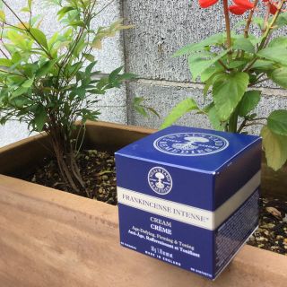 ニールズヤード(NEAL'S YARD)のニールズヤード フランキンセンス インテンス クリーム ５０ｇ(フェイスクリーム)