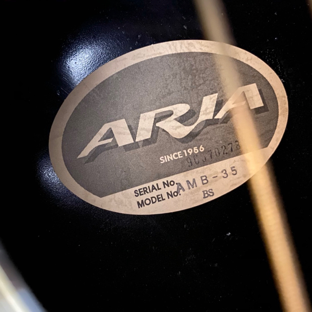 AriaCompany(アリアカンパニー)のギター ARIA 楽器のギター(アコースティックギター)の商品写真