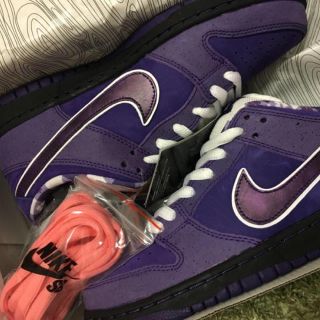 ナイキ(NIKE)のnikesb  dunk low purple パープル 25.5(スニーカー)