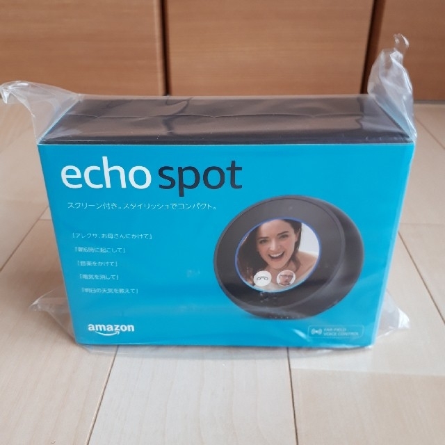 期間限定お値下げ　(新品)　ECHO　アレクサ