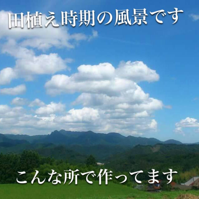 ミント様専用 25キロ分精米小分けなし 食品/飲料/酒の食品(米/穀物)の商品写真