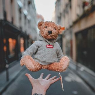 シュプリーム(Supreme)のSupreme®/Steiff® Bear(ぬいぐるみ)