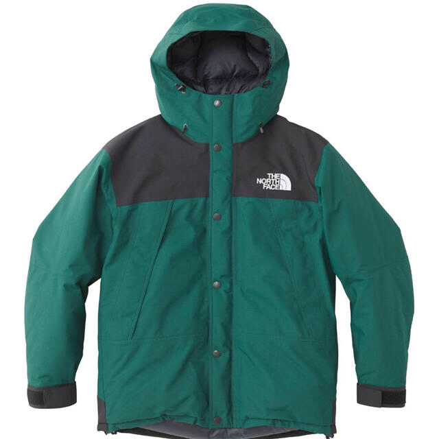 THE NORTH FACE マウンテンダウンジャケット L