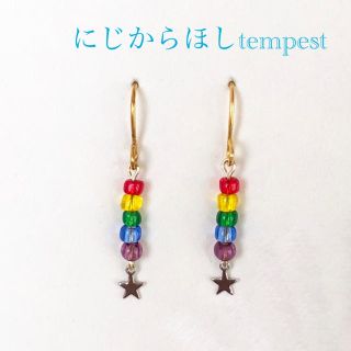 アラシ(嵐)のにじからほしtempest ピアス(ピアス)