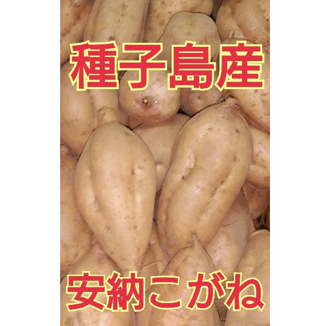 種子島産安納芋(安納こがね)３キロMサイズ 食品/飲料/酒の食品(野菜)の商品写真