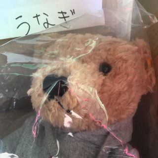 シュプリーム(Supreme)の100%本物 supreme steiff bear(ぬいぐるみ)