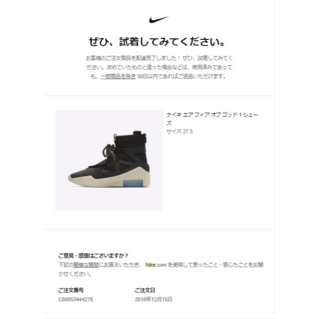 NIKE(ナイキ)のNIKE FEAR OF GOD  メンズの靴/シューズ(スニーカー)の商品写真