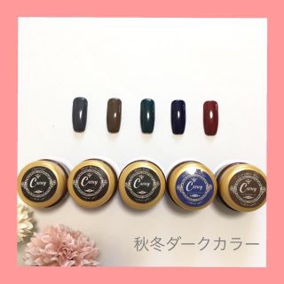 秋冬ダークカラージェル ジェルネイル(カラージェル)
