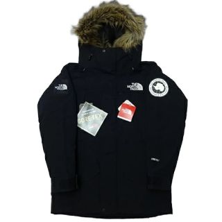 ザノースフェイス(THE NORTH FACE)のノースフェイスアンタークティカパーカ(ダウンジャケット)