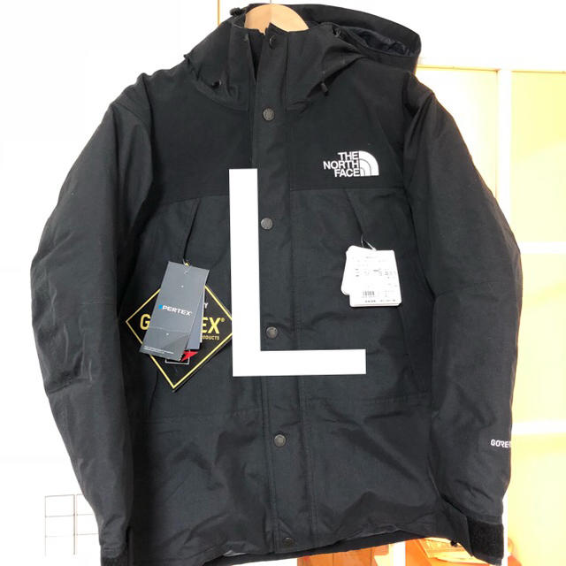 L The North Face Mountain Down Jacket