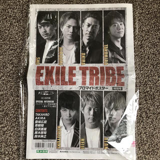 エグザイル トライブ(EXILE TRIBE)のEXILE TRIBE プロマイドポスター(ミュージシャン)
