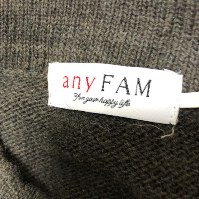 anyFAM(エニィファム)のanyFAM レディースのトップス(ニット/セーター)の商品写真