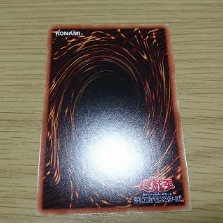 ユウギオウ(遊戯王)のみっちい様専用(その他)