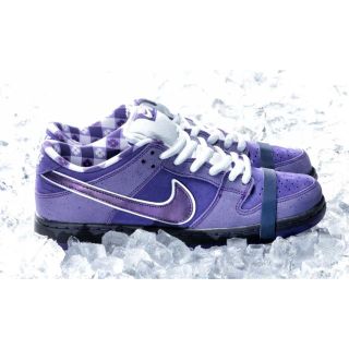 ナイキ(NIKE)の国内正規品 28 NIKE SB DUNK LOW PURPLE LOBSTER(スニーカー)