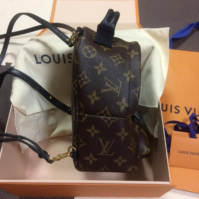 LOUIS VUITTON(ルイヴィトン)のルイヴィトン 最終値引き レディースのバッグ(ショルダーバッグ)の商品写真