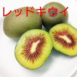 マツミオ様専用 キウイフルーツ【レッドキウイ】約１キロ(フルーツ)