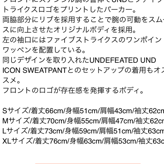 UNDEFEATED(アンディフィーテッド)のUNDEFEATED UND ICON HOOD メンズのトップス(パーカー)の商品写真