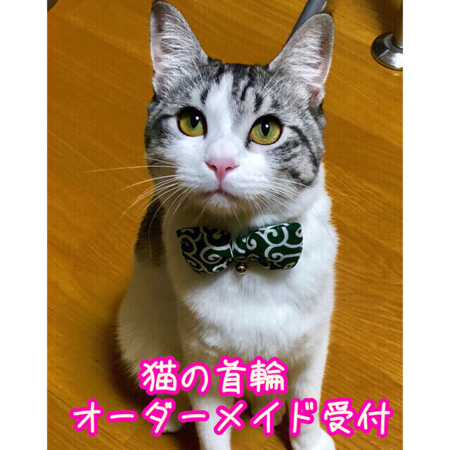 【オーダーメイド受付】猫の首輪 リボンタイプ&バンダナタイプ ハンドメイドのペット(リード/首輪)の商品写真