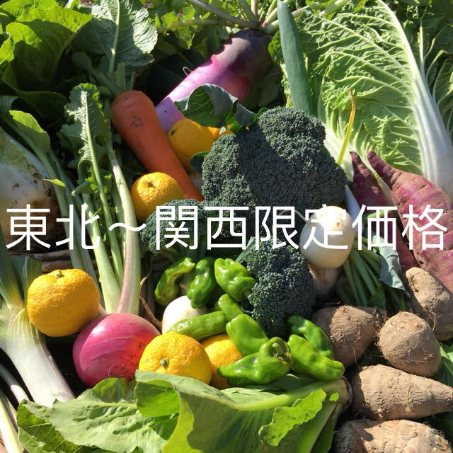 低農薬 野菜セット 60 食品/飲料/酒の食品(野菜)の商品写真