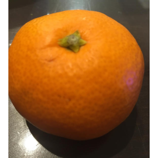ゆきんこ