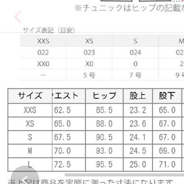 PLST(プラステ)のPLST ウォームリザーブスティックパンツ L レディースのパンツ(クロップドパンツ)の商品写真