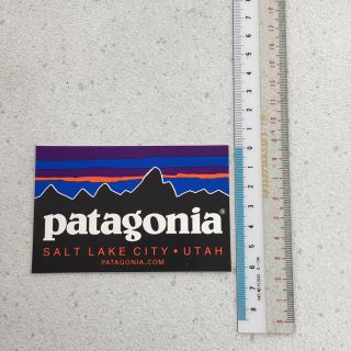 パタゴニア(patagonia)の新品未使用 パタゴニア ソルトレイク シール 2枚で(サーフィン)