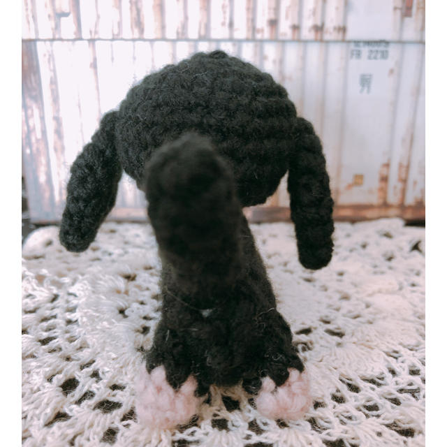 あみぐるみ犬  ダックス  ブラッククリーム ハンドメイドのぬいぐるみ/人形(あみぐるみ)の商品写真