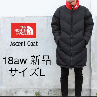 THE NORTH FACE Ascent Coat/アッセントコート