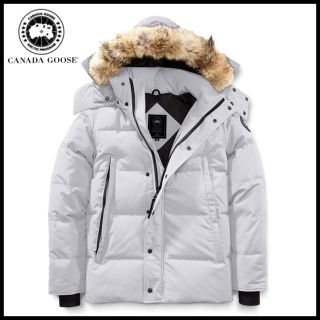 カナダグース(CANADA GOOSE)のカナダグース ウィンダム パーカ シルバーバーチ Sサイズ(ダウンジャケット)