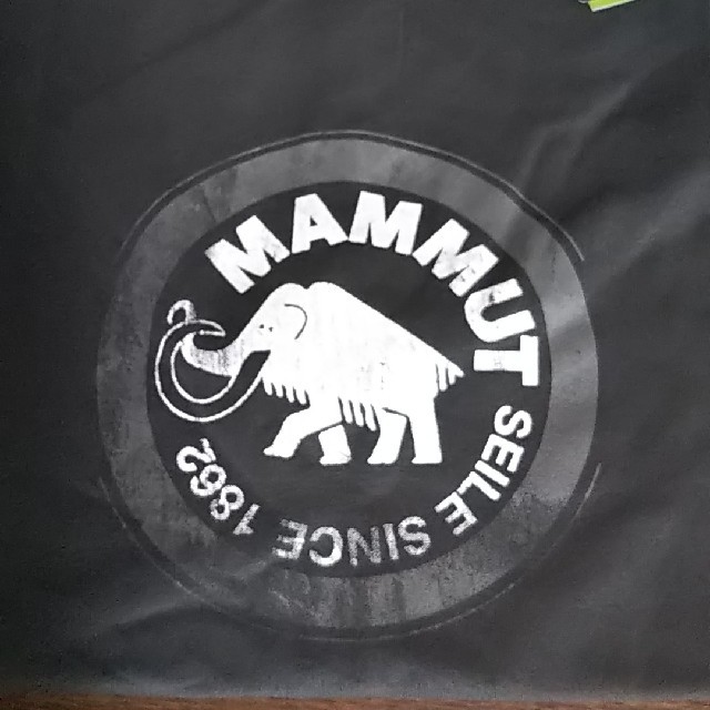 Mammut(マムート)のMAMMUT Tシャツ 新品 メンズのトップス(Tシャツ/カットソー(半袖/袖なし))の商品写真