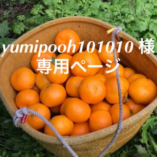 愛媛みかん yumipooh101010 様 専用ページ(フルーツ)