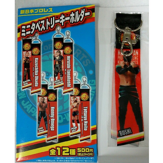 BUSHI 選手 ミニタペストリーキーホルダー スポーツ/アウトドアのスポーツ/アウトドア その他(格闘技/プロレス)の商品写真