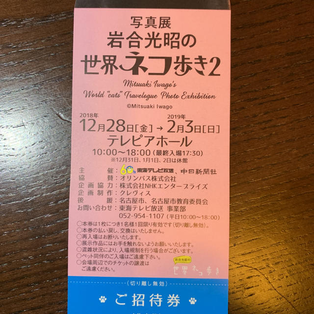 ネコ歩き展 テレピアホール 2枚 チケットのイベント(その他)の商品写真