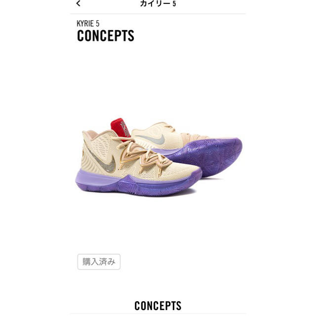 28.0cm カイリー5 CONCEPTS コンセプツ NIKE ナイキ 28.0cm カイリー5 CONCEPTS コンセプツ NIKE ナイキ