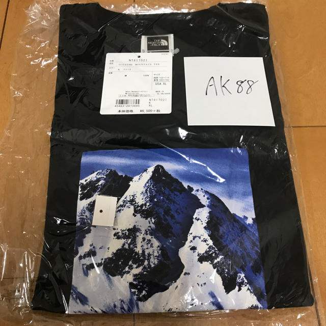 Supreme The North Face Mountain Tee