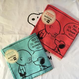 スヌーピー(SNOOPY)のルンルン様専用(その他)