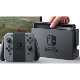 ニンテンドースイッチ(Nintendo Switch)の🌟美品 Nintendo switch グレー 本体ゼルダの伝説ソフト セット(家庭用ゲーム機本体)