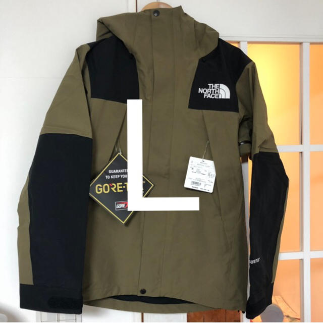 L The North Face Mountain Jacket