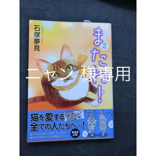 アキタショテン(秋田書店)のまたね！2巻 石塚夢見(少女漫画)