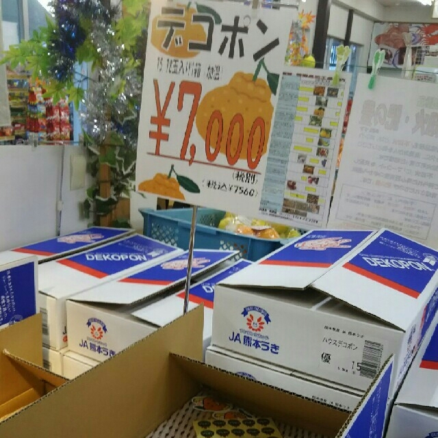 10日まで☆熊本県産不知火12玉(オマケ付き) 食品/飲料/酒の食品(フルーツ)の商品写真