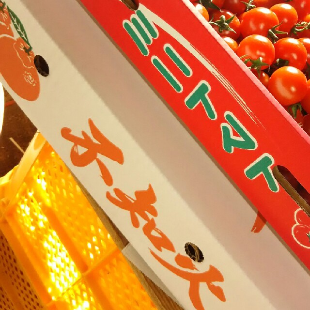 10日まで☆熊本県産不知火12玉(オマケ付き) 食品/飲料/酒の食品(フルーツ)の商品写真