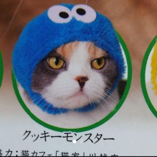 セサミストリート(SESAME STREET)のねこのかぶりもの セサミストリート クッキーモンスター(猫)