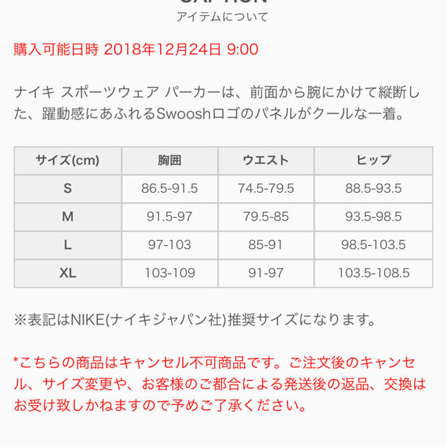 NIKE ビッグスウォッシュ パーカー 1