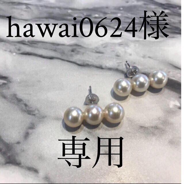 hawai0624様 専用  ハンドメイドのアクセサリー(ピアス)の商品写真